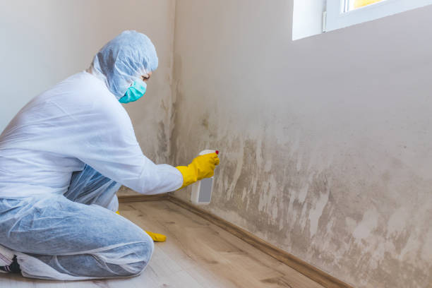 Mold Remediation specialist working in Fountain