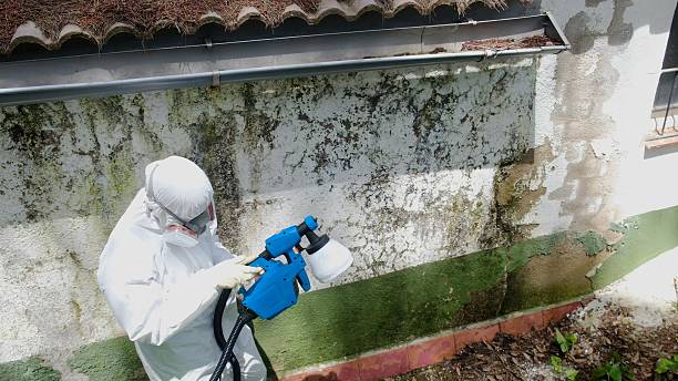 Mold Remediation service in Fountain, Fountain, NC